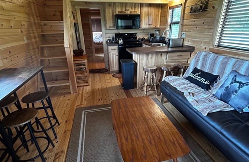 Old Fields Cabin | Amazing Star gazing Mountain View 2-bedroom cabin with AC, WiFi at Old Fields WV