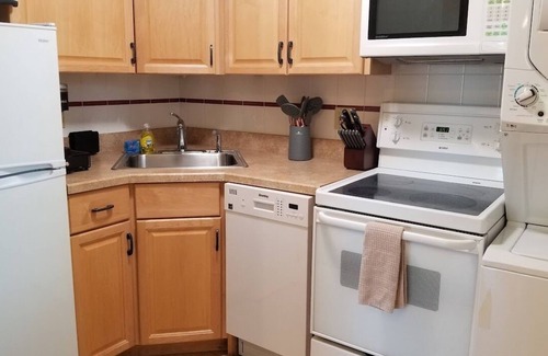 Plymouth Apartment | Amazing Studio-7 min walk to BID Hosp 15 min to D-town w/W/D, DW MW Jacuzzi tub