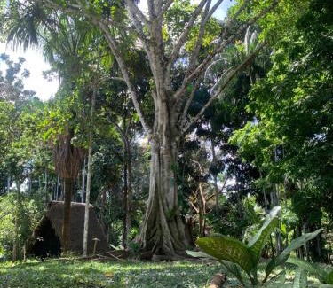 Puerto Narino Other | Amazon jungle cabin - satorinatural