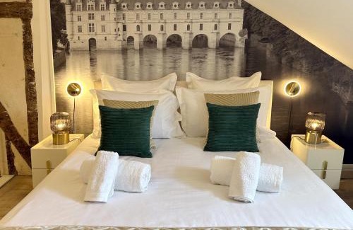 Amboise Apartment | Amboise centre ville - Cocon Royal à deux pas du Château