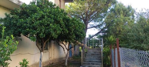 Mbrostar-Urë House | Among the trees and by the sea