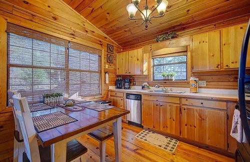 Ellijay Cabin | Amy's Blue Ridge Mtn & Starlight View