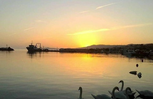 Nea Skioni Apartment | Anchors Aweigh 3-100 S.m Apartment Near The Sea