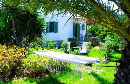 Apollonia House | ANCIENT MEROPIA, Apollonia