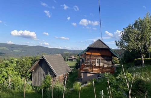 Weitensfeld Apartment | Andi's Berghütte