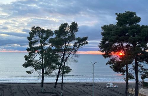 Shengjin Apartment | Andrras Beach House Beachfront Apartment with Sea View