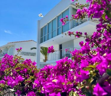 Skiathos Town Hotel | Anemoni Beach Hotel