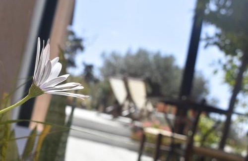 Keratokambos Apartment | Anemos - Holiday Beach Houses