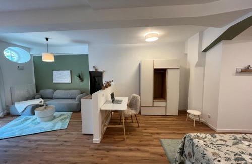 Weisser Hirsch Apartment | ANER 6 eleganter Loft mit Infrarotsauna in Dresden Weißer Hirsch