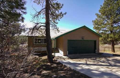 Durango Apartment | Animal Friendly Sunny Basement Suite near Durango