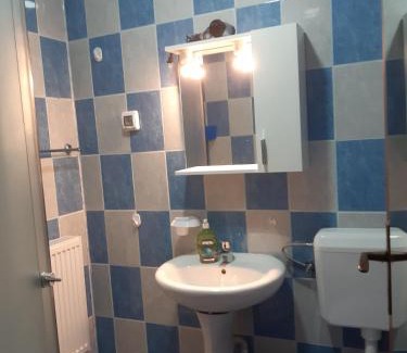 Breaza de Jos Hotel | Anuța