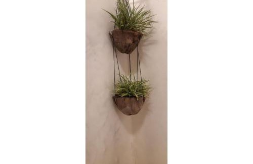 Icarai de Amontada Apartment | Apê Bossa Nova, aconchego e charme!