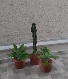 Regiao Urbana Homogenea IX Apartment | Apê no Centro, Apé no Centro