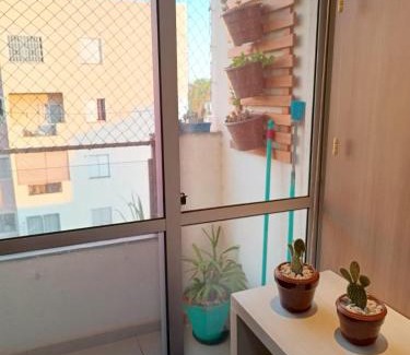 Sao Jose do Rio Preto Apartment | Apê suíte lago, centro, apê inteiro