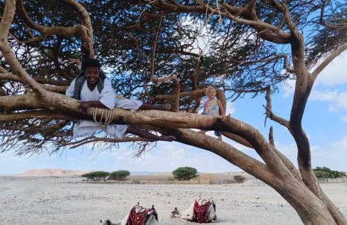Marsa Alam Other | Apadi camp