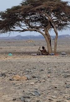Marsa Alam Other | Apadi camp