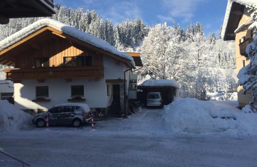 Hopfgarten im Brixental Apartment | Apart Linde