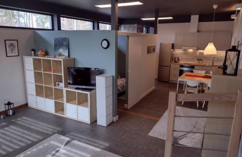 Zła Wies Wielka Apartment | Apartament Łoś i Ryś