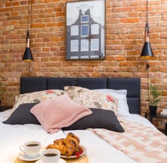 Srodmiescie Apartment | Apartament Żmigród