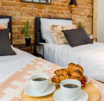 Srodmiescie Apartment | Apartament Żmigród