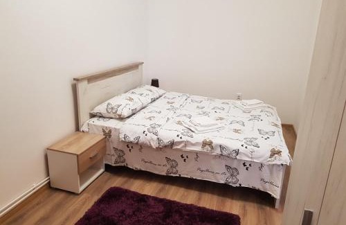 Tirgu Mures Apartment | Apartament 14 Central