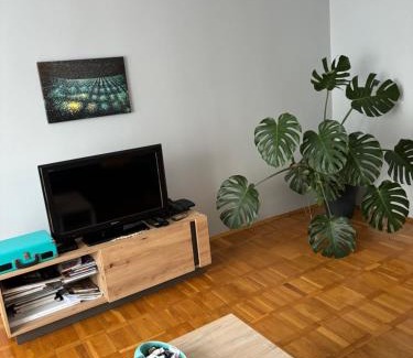 Torun Apartment | Apartament 18