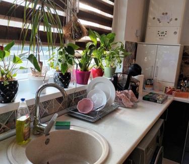 Chiajna Apartment | Apartament 2 camere