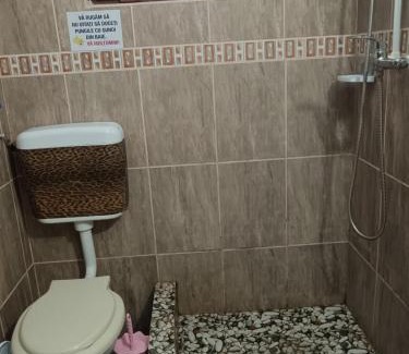 Doua Mai Apartment | Apartament Andrada