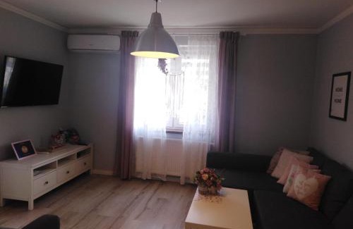 Brzezinka Apartment | Apartament Antek klimatyzowany