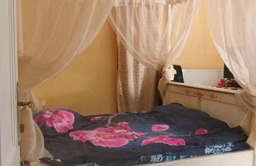 Timisoara Apartment | Apartament Braytim