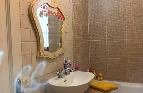 Timisoara Apartment | Apartament Braytim
