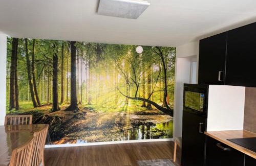 Villerupt Apartment | Apartament cozy