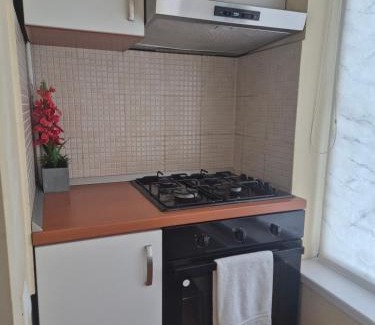 Timisoara Apartment | Apartament Crăciunița