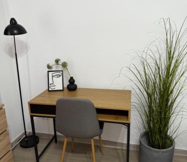 Roman Apartment | Apartament cu o cameră
