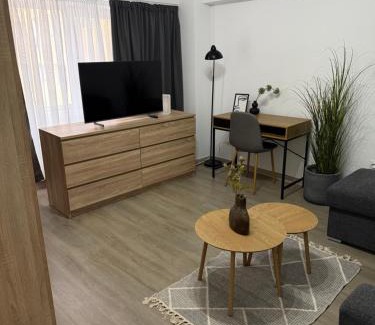 Roman Apartment | Apartament cu o cameră