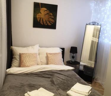 Szczawno-Zdroj Apartment | Apartament CzarnoRóżowy