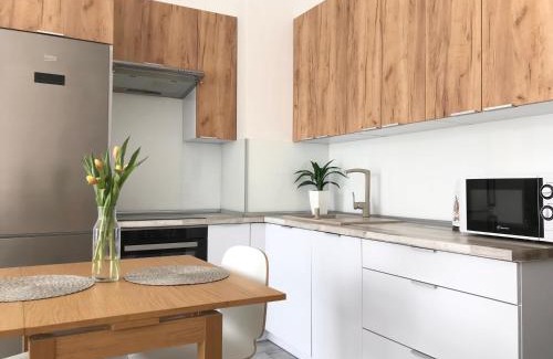 Srodmiescie Apartment | Apartament Czechowska Luxury