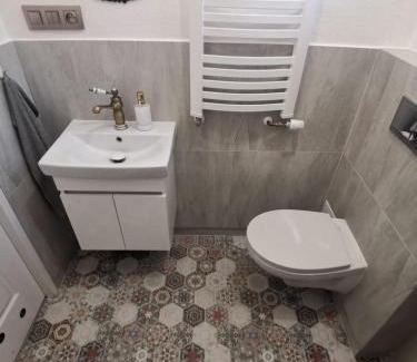 Zielona Gora Apartment | Apartament - dom