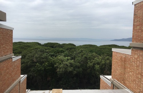 Punta Ala Apartment | Apartament in apartament house near the sea surrounding by secular pinegroves