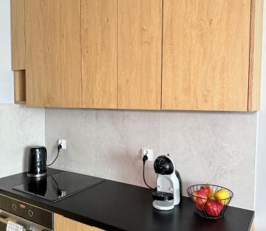 Grzegorzki Apartment | Apartament Mogilska