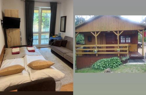 Krynica Morska Cabin | Apartament MONA przy morzu, na parterze,ul Żeromskiego,przy centrum i Domek Mona przy plaży