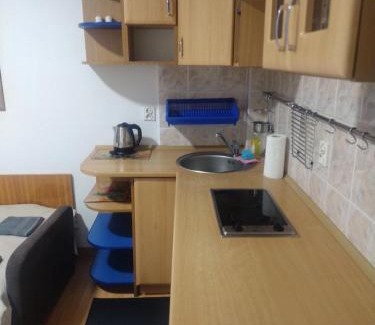 Krynica Morska Cabin | Apartament MONA przy morzu, na parterze,ul Żeromskiego,przy centrum i Domek Mona przy plaży