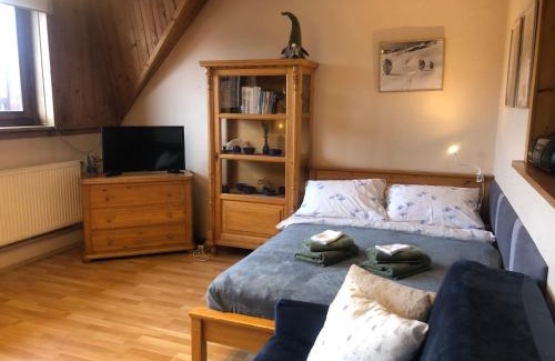 Zakopane Apartment | Apartament Nowotarski