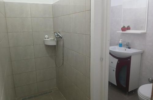 Dumbravita Apartment | Apartament o camera