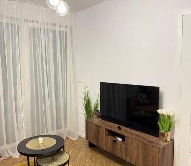 Nysa Apartment | Apartament OMEGA