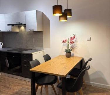 Pradnik Bialy Apartment | Apartament Pasteura