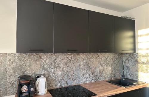 Tarnowskie Gory Apartment | Apartament