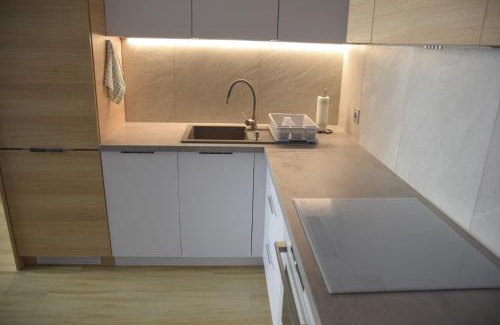 Torun Apartment | Apartament Pod Papugami