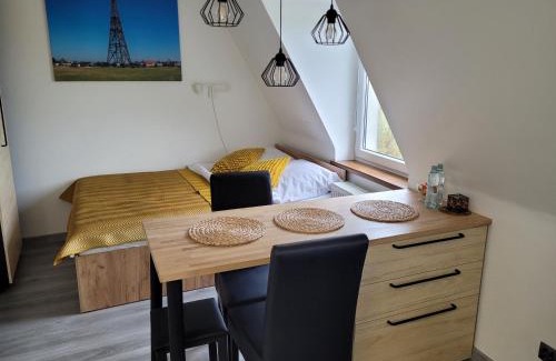 Gliwice Apartment | Apartament Pod Radiostacją -Gliwice Tarnogórska, parking free, klimatyzacja