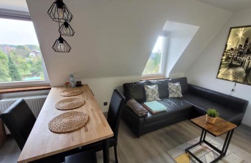 Gliwice Apartment | Apartament Pod Radiostacją -Gliwice Tarnogórska, parking free, klimatyzacja